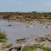  The Serengeti, TZ